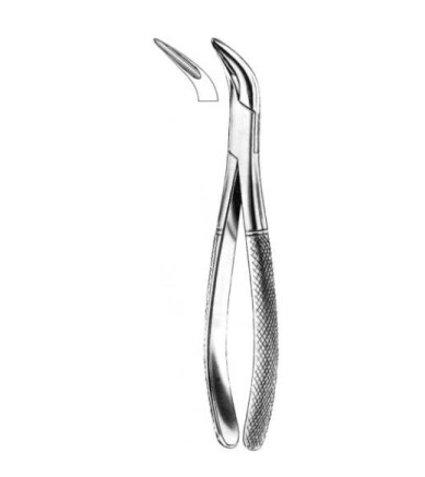 Root Splinter Forceps