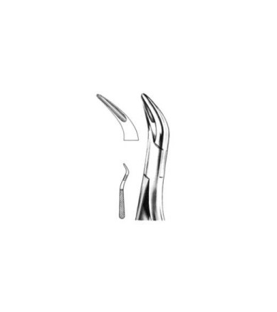 Root Splinter Forceps